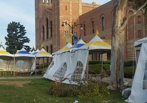Broken branch in Royce Quad