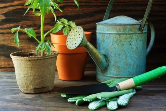 California gardening