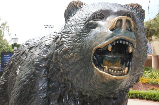 Bruin statue