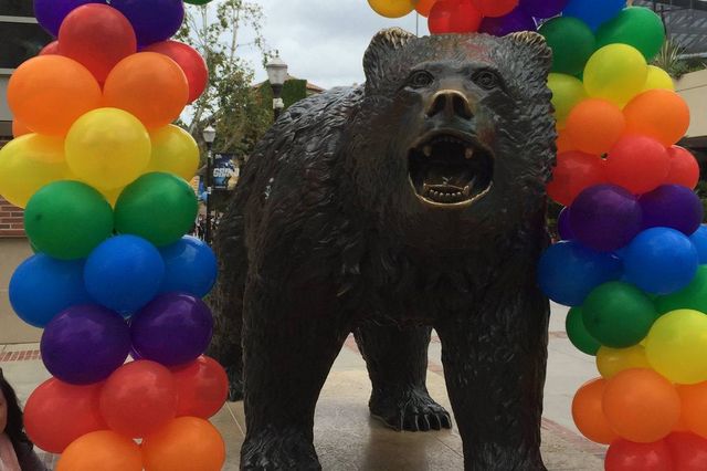 Rainbow Bruin Bear