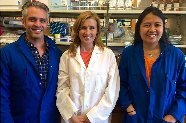 Calvanese Mikkola Dou