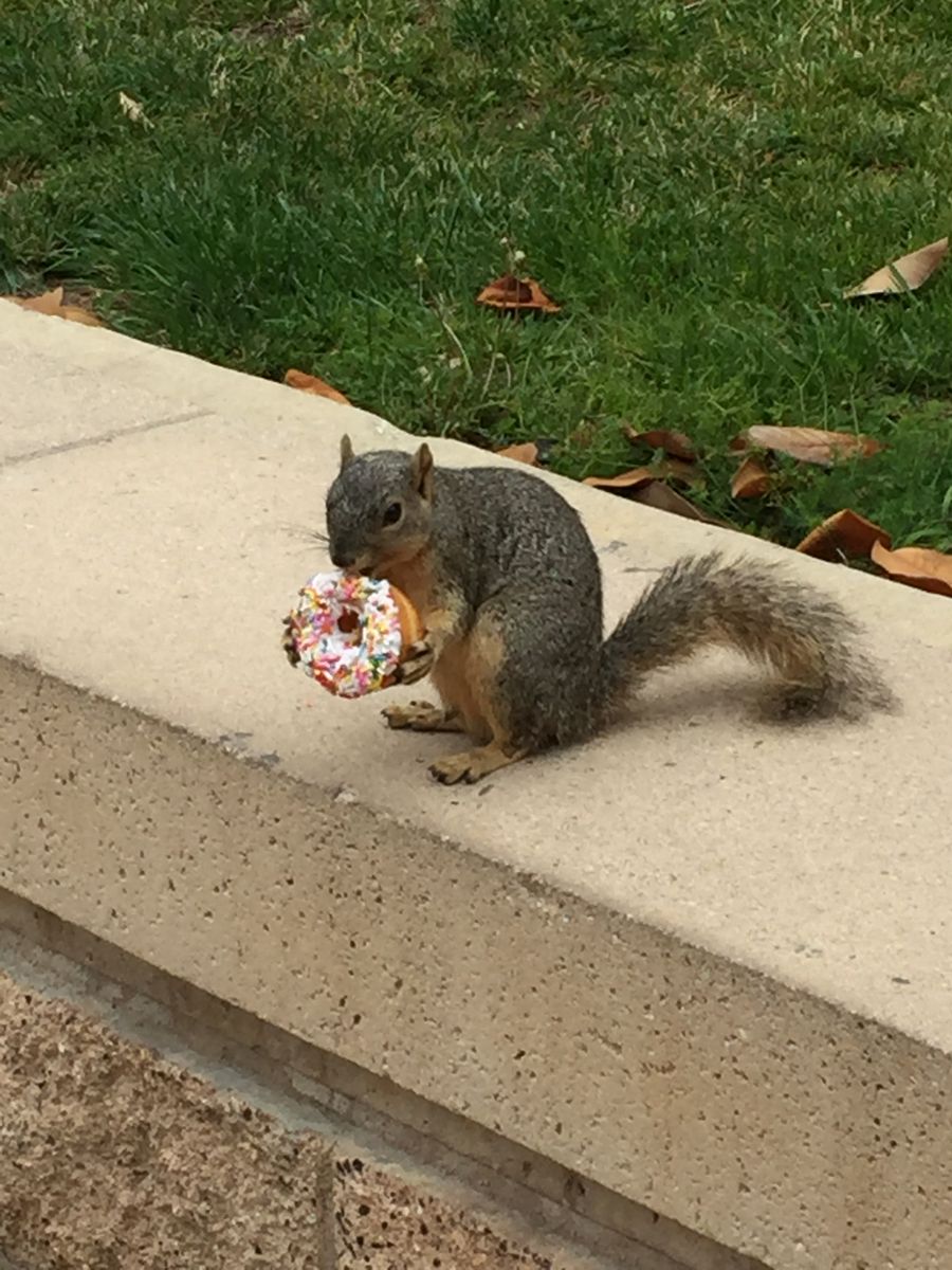 11 cool and endearing reasons to choose UCLA UCLA