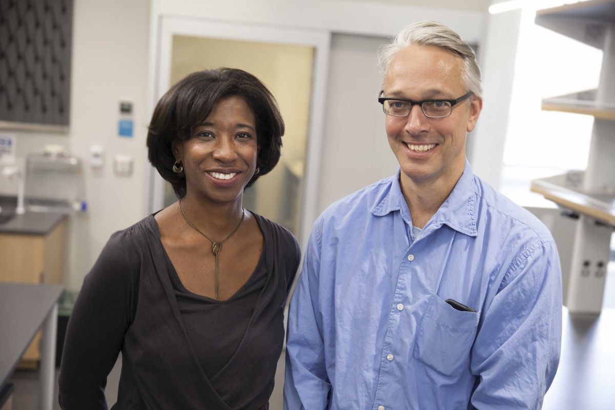 Tracy Johnson, Alexander Hoffmann