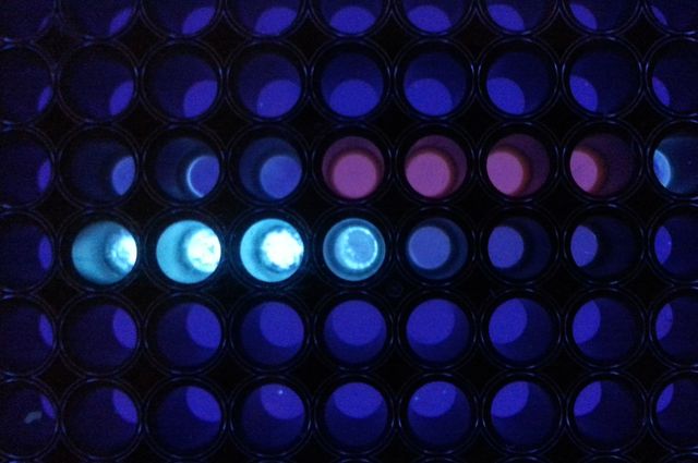 Assay signal generation