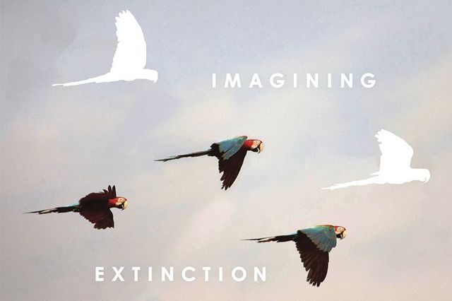 Imagining Extinction