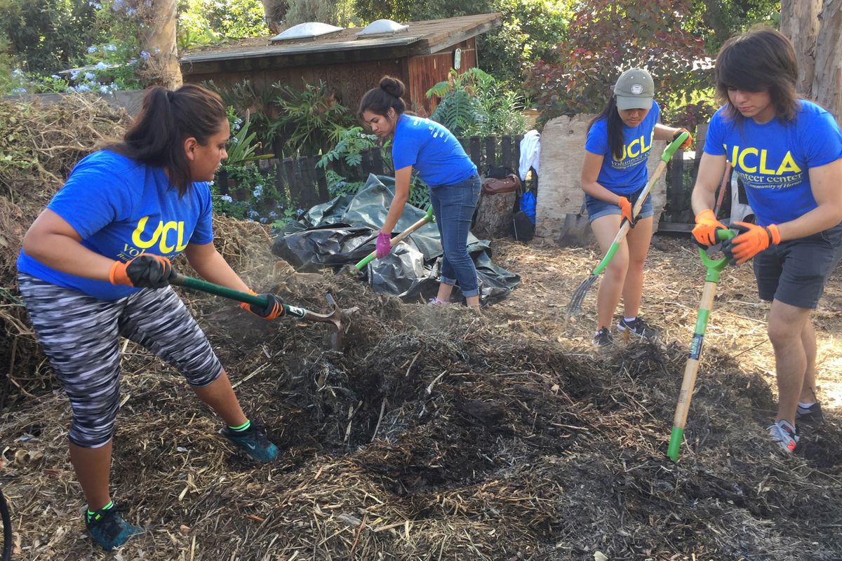 Volunteer Day 2016 at Wattles Farm