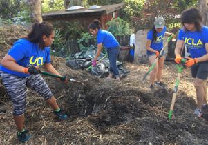 Volunteer Day 2016 at Wattles Farm
