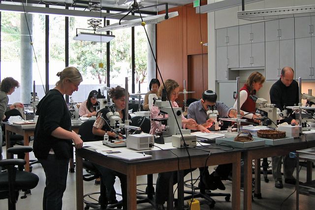 UCLA/GettyConservation Lab