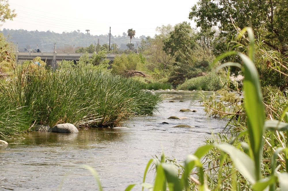 L.A. River