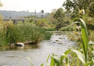 L.A. River