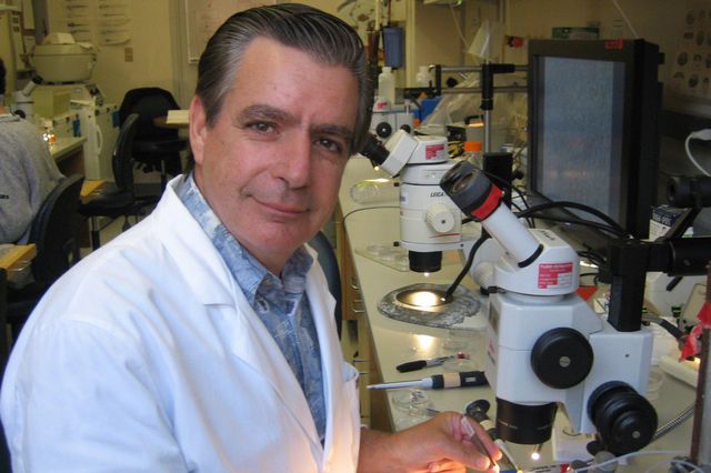 Edward De Robertis in his lab
