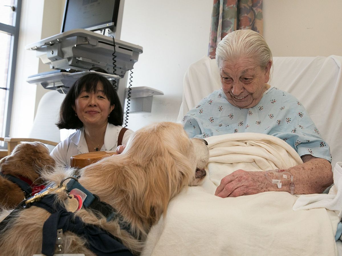 Patient meets Ella, volunteer dog 