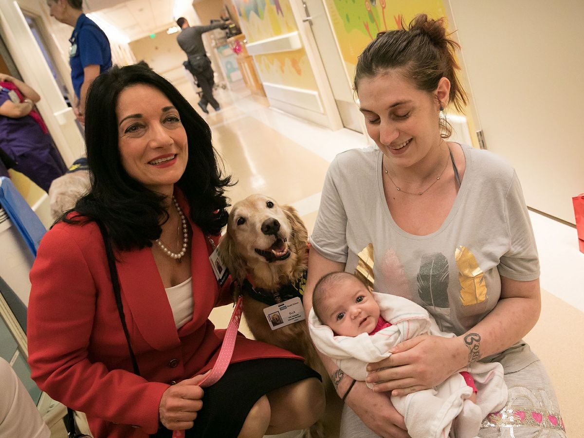 Johnese Spisso, a volunteer dog, baby and mother