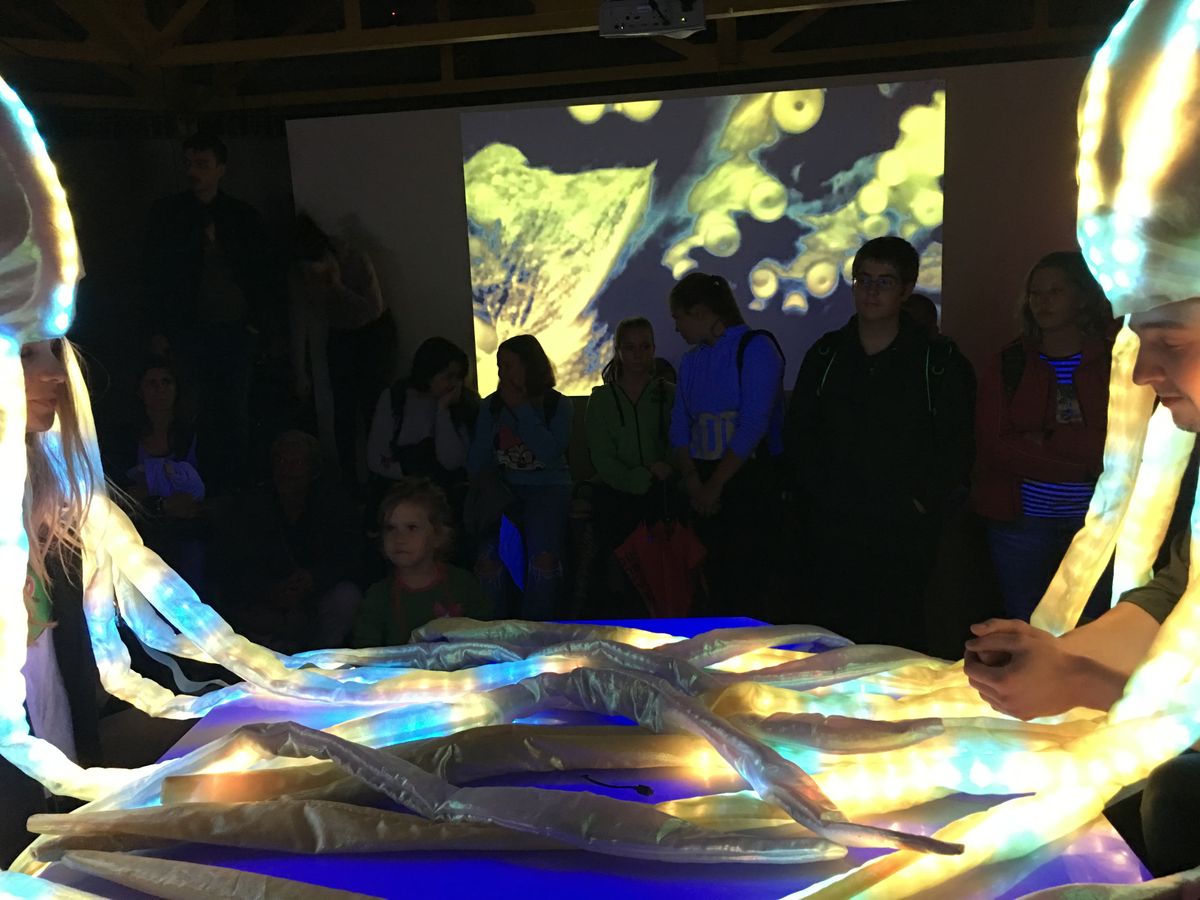 Octopus BrainStorming