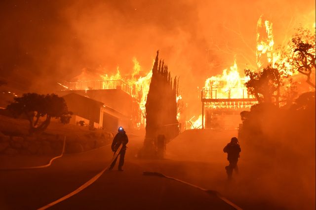 Wildfires