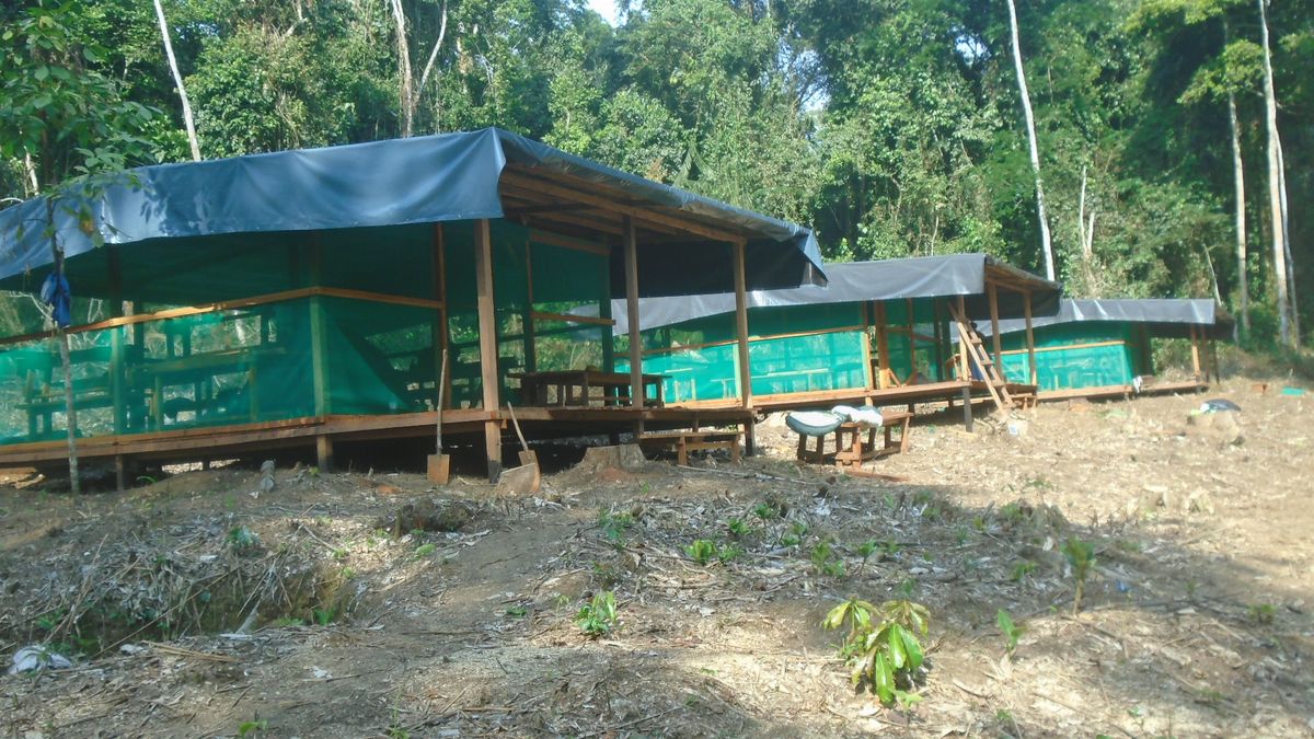 Platforms used for cooking, dining and doing research