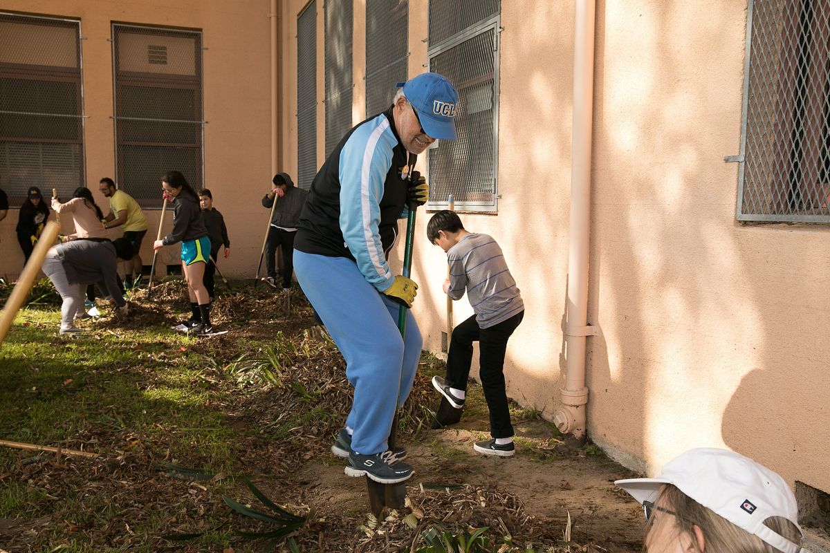 Mann UCLA Community School beautification