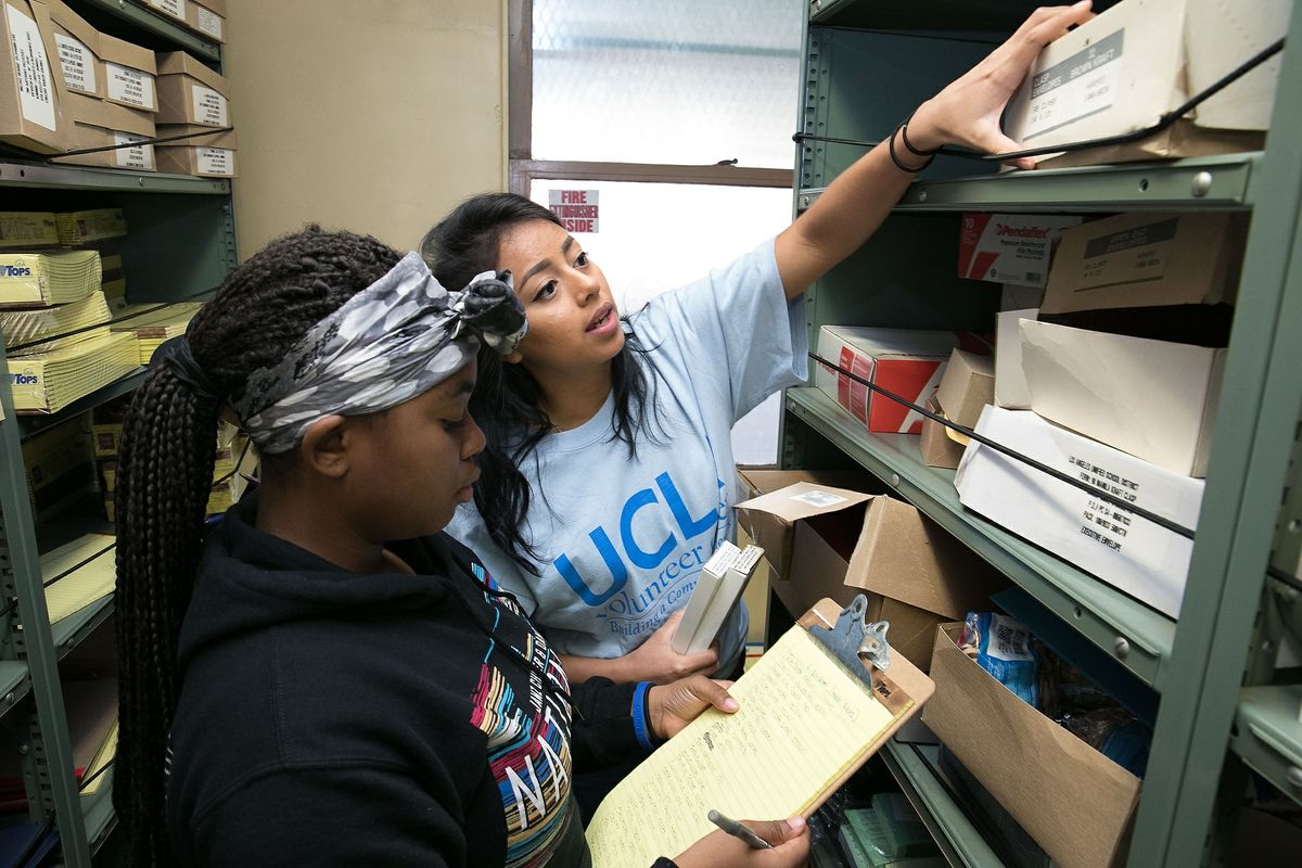 Volunteers at Mann UCLA Community School beautification