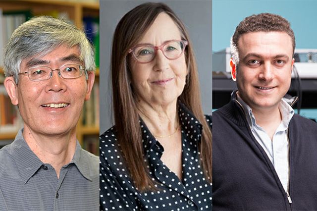 UCLA Guggenheim 2017 trio