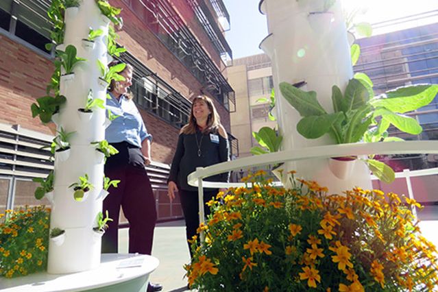 Lynn Safenowitz and Bonny Bentzin