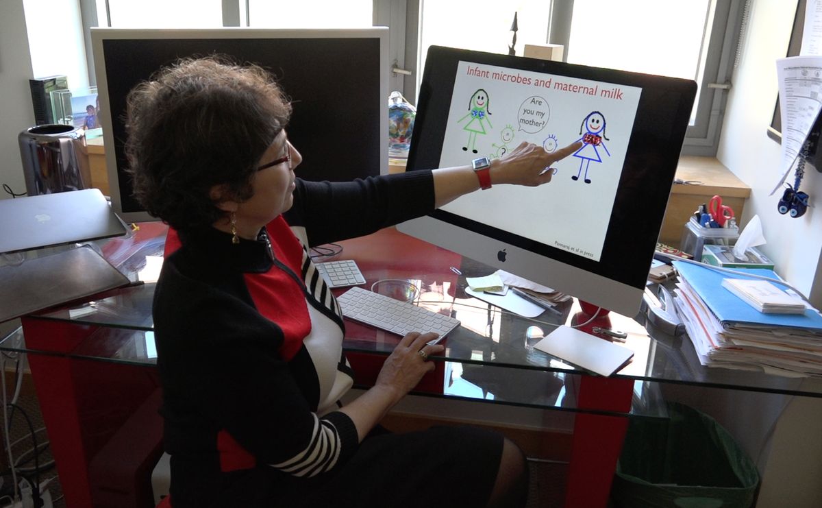 Aldrovandi in office