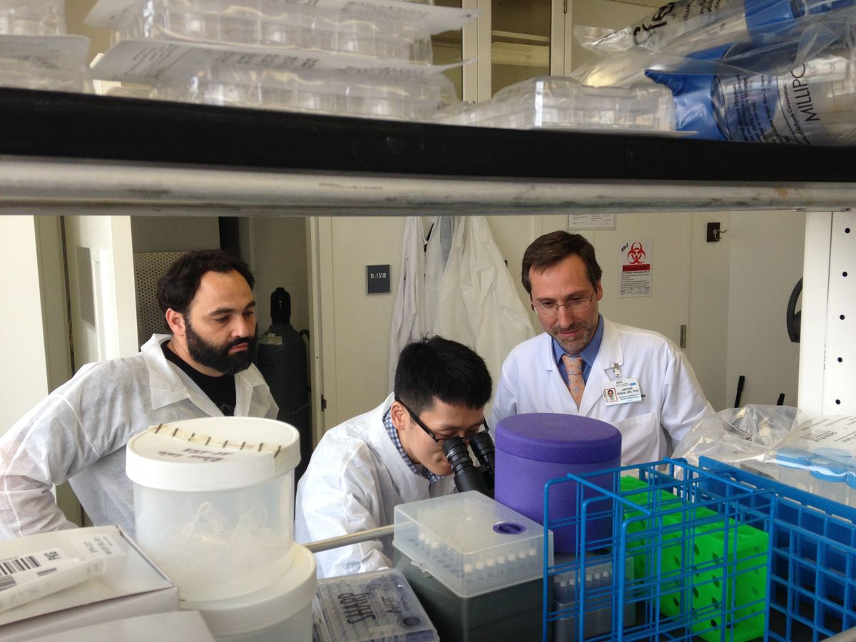 Garcia-Diaz Shin and Ribas