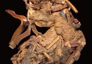 “Sacrifice to Truro”