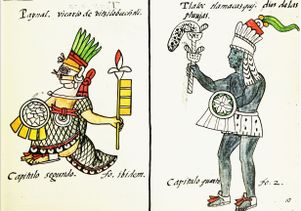 Drawings from the Florentine Codex