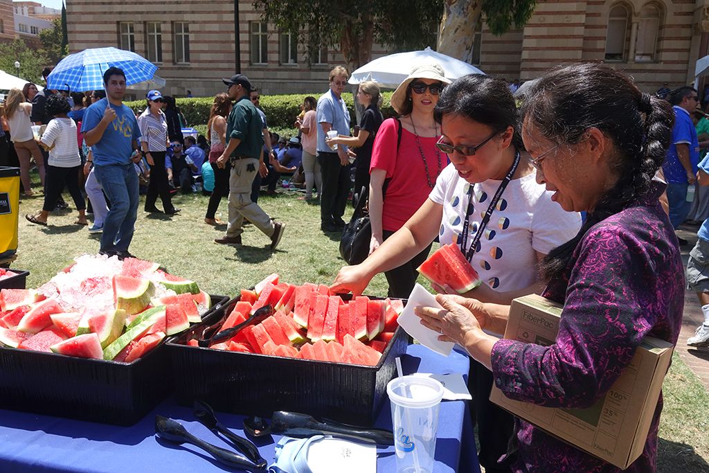 2016 All-Staff Picnic Watermelon