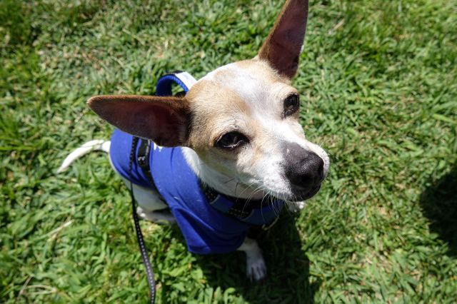 All-Staff Picnic 2017