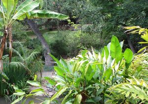 Mildred E. Mathias Botanical Garden