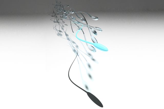 Sperm array