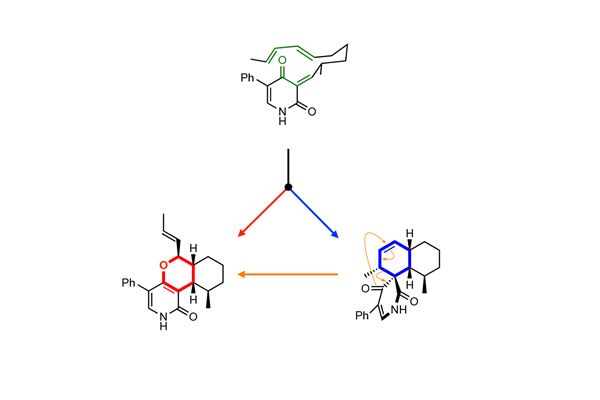 Pericyclic reactions