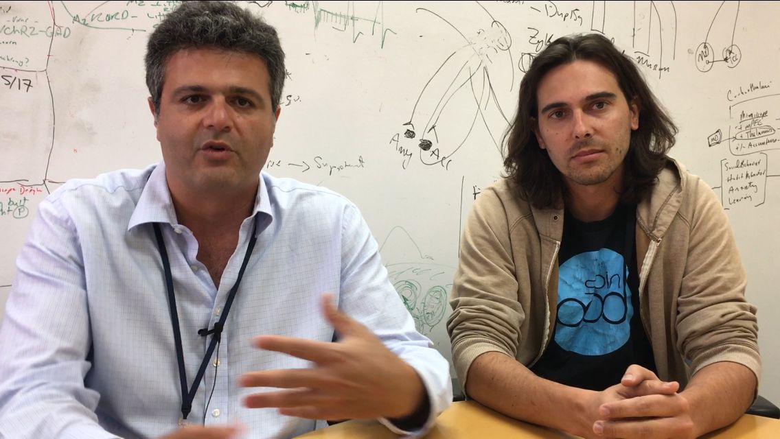 Golshani and Aharoni