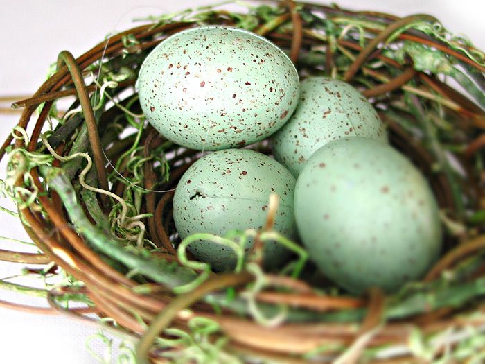Nest egg