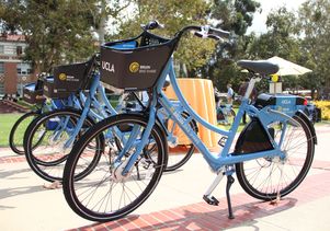Bruin Bike Share