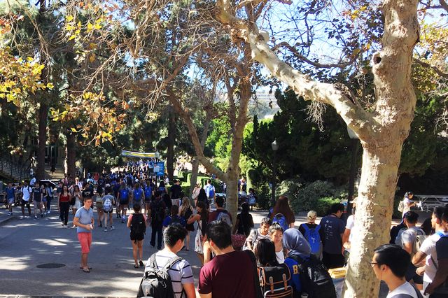 Bruin Walk
