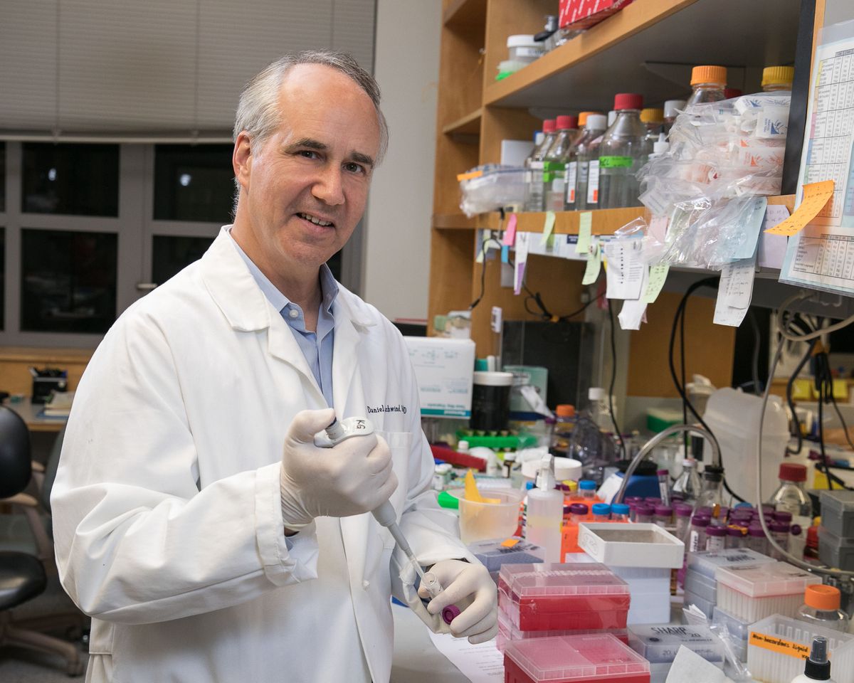 Researchers map ‘switches’ behind human brain evolution UCLA