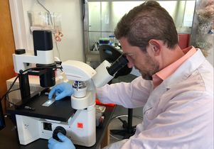 Dr. Steven Mittelman