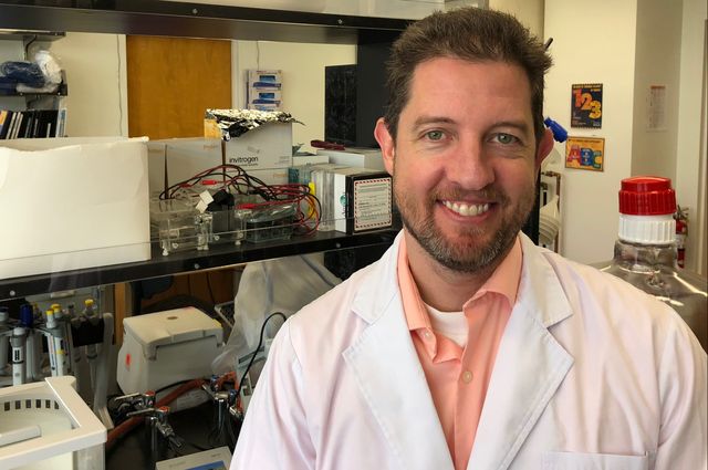 Dr. Steven Mittelman