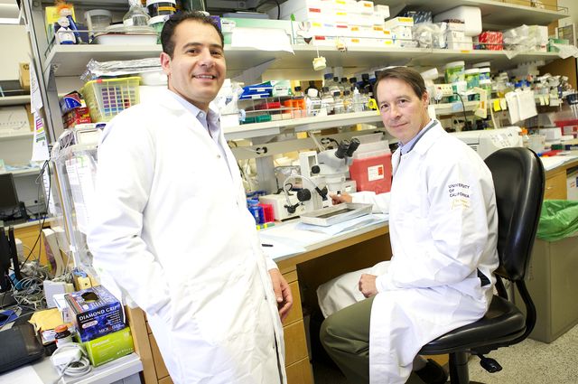 Tamer Sallam  and Peter Tontonoz