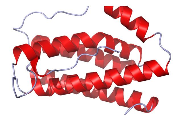 IL6 crystal structure