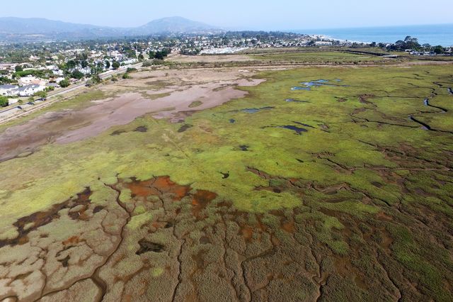 Carpinteria Salt Marsh Reserve