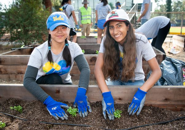 UCLA volunteers at Veterans Garden