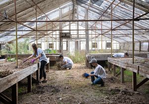UCLA volunteers at VA Veterans Garden