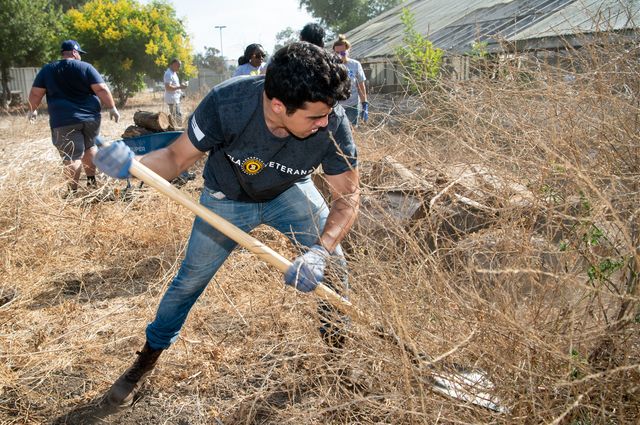 UCLA vets at VA Veterans Garden