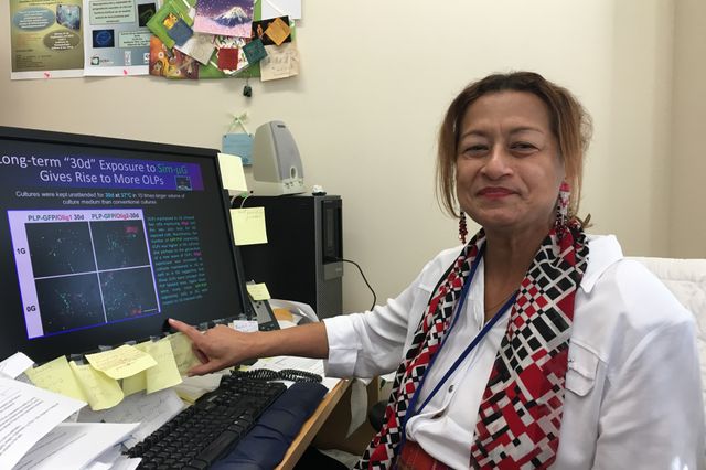 Araceli Espinosa-Jeffrey