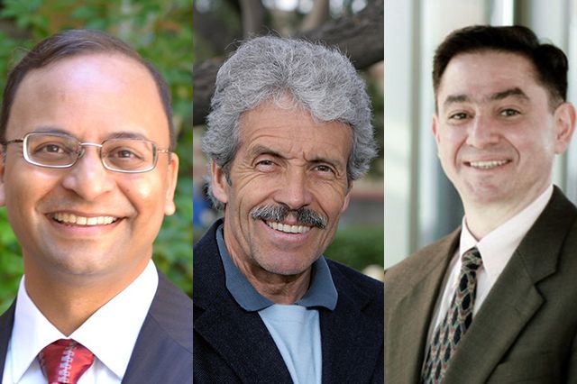 ACM fellows