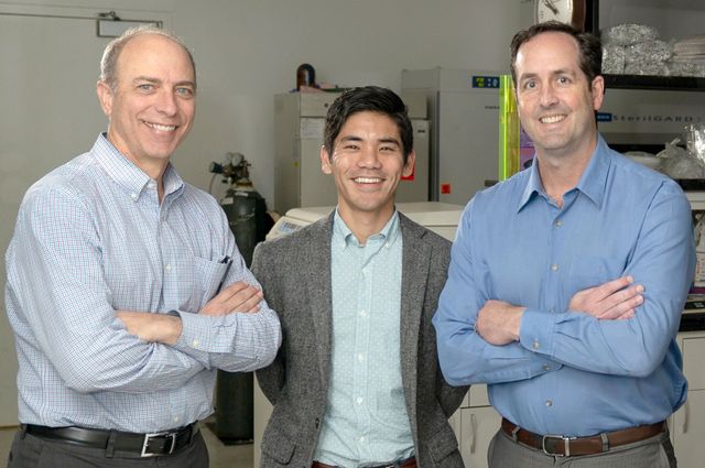 Cloughesy, Mochizuki and Prins