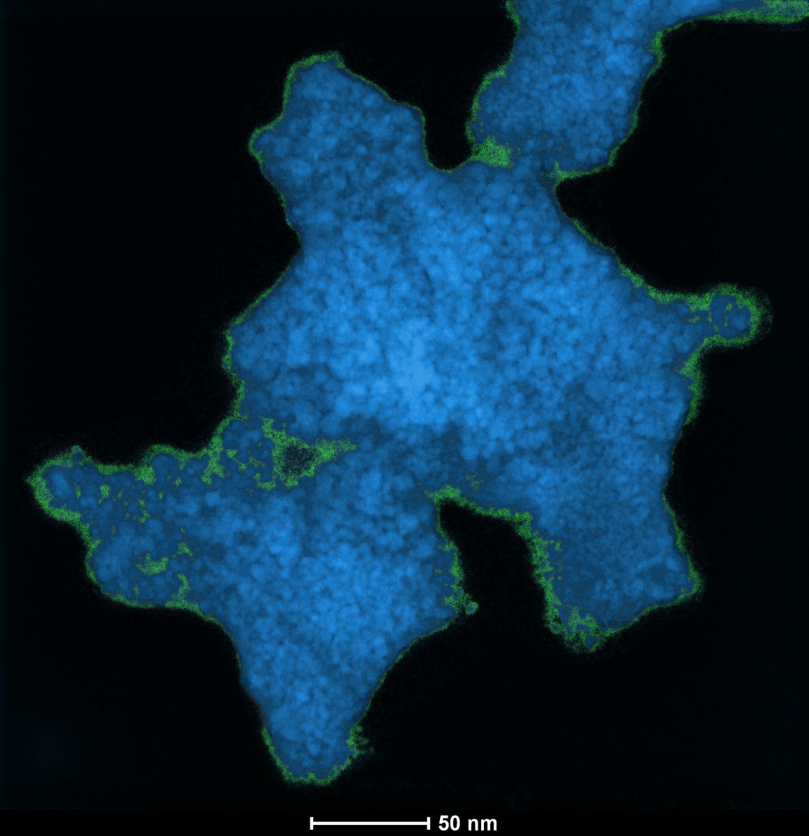 Electron microscopy image